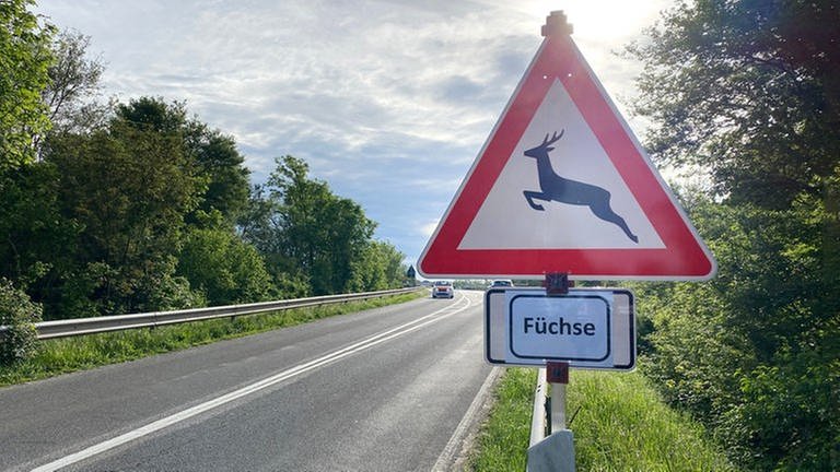 Warnschild Füchse Limburgerhof
